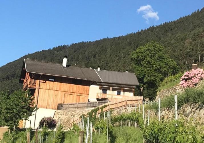 Maso Fallmerayer - Fallmerayerhof Lägenhet Brixen Exteriör bild