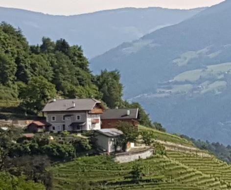 Maso Fallmerayer - Fallmerayerhof Lägenhet Brixen Exteriör bild